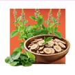 TRADITIONAL BOTANICALS