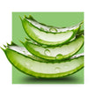 image of aloe leaf