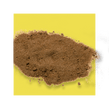 image of saw palmetto