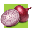 image of an onion