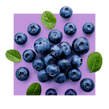 image of blueberries against a purple background