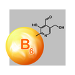 image of molecule with B6 on it