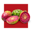 image of prickly pear fruit
