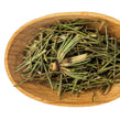 Horsetail