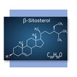 image of B-sitosterol molecular compound