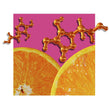 image of orange slices