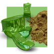 image of aloe powder next to cut aloe leaf