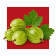 image of capros fuit