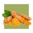 image of tumeric