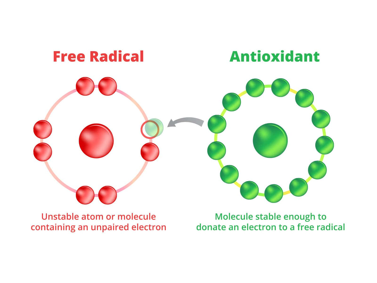 image of a module explaining free radicals and antioxidants