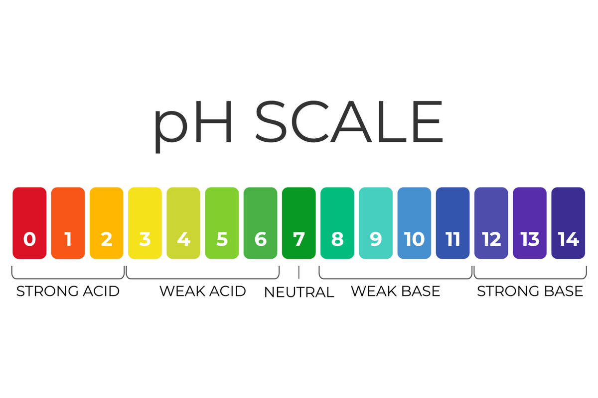 image of PH scale