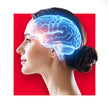 image of brain
