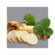image of ginseng root