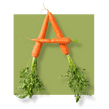 image of two carrots