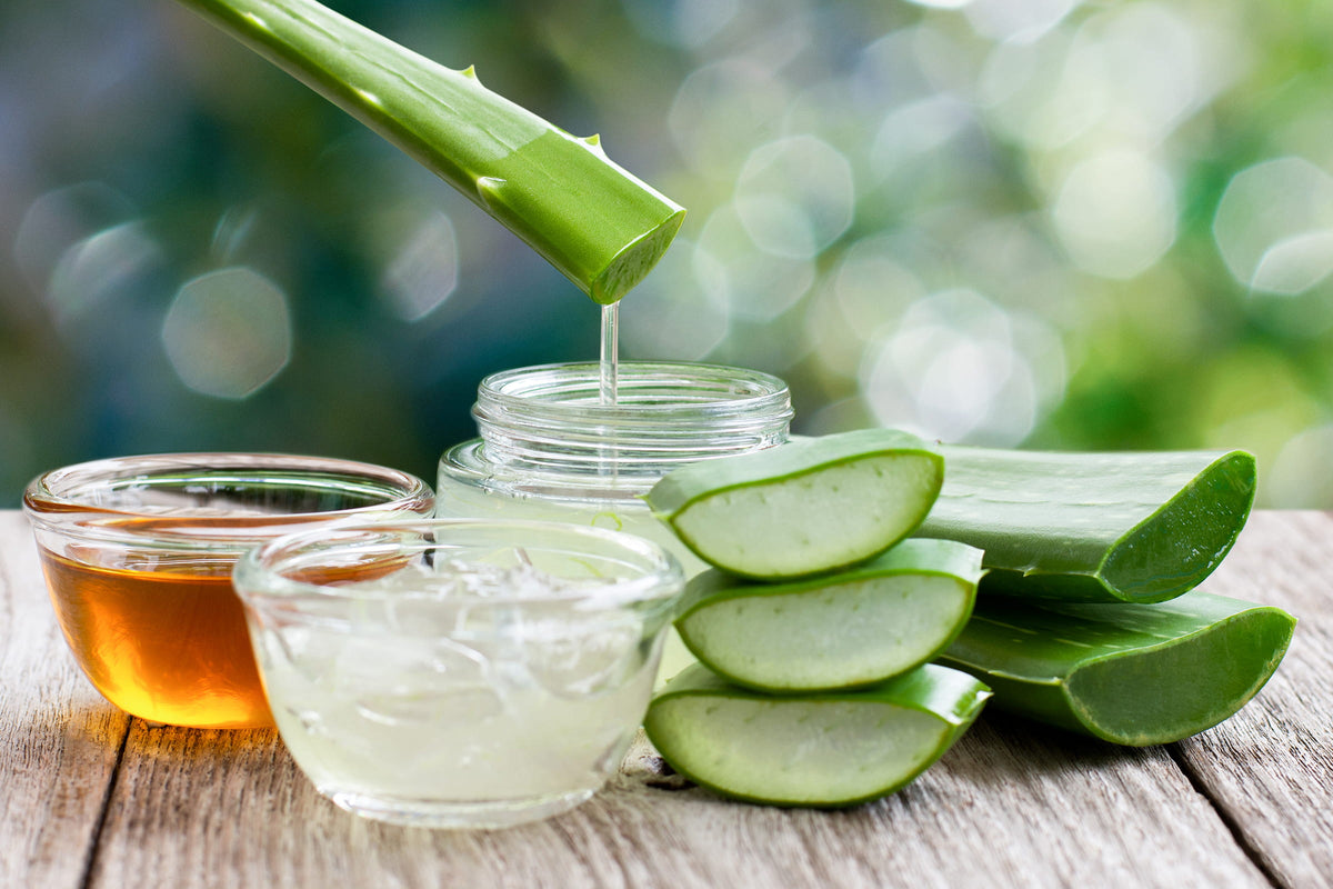 image of aloe leave