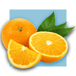 image of organge slices