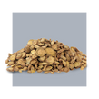 image of scutellaria root