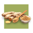 image of ginger