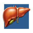 image of lipase