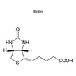image of biotin molecular structure