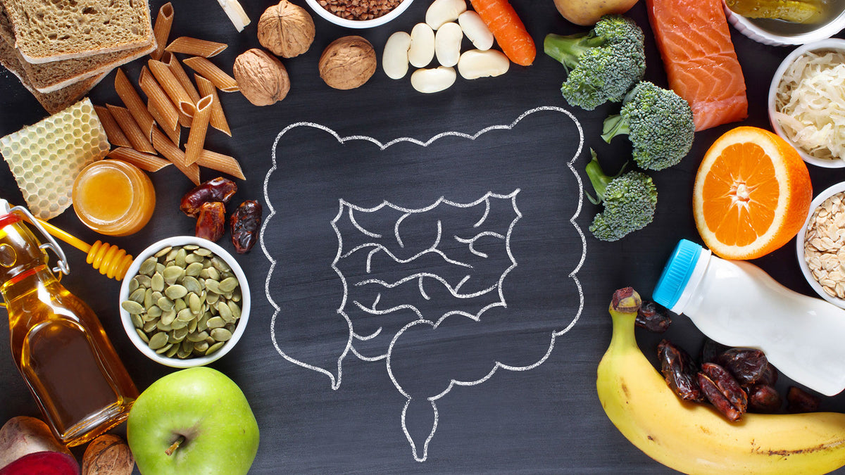 image of intestines and foods that help digest due to high fiber content