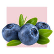 image of blueberries