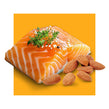 image of salmon