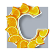 image of orange slices
