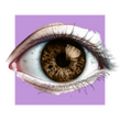 image of an eye