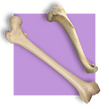 image of bones
