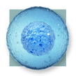 image of a cell