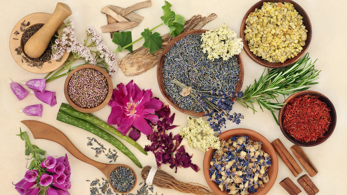 image of different herbs and spices