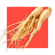 image of American Ginseng Extract (root)