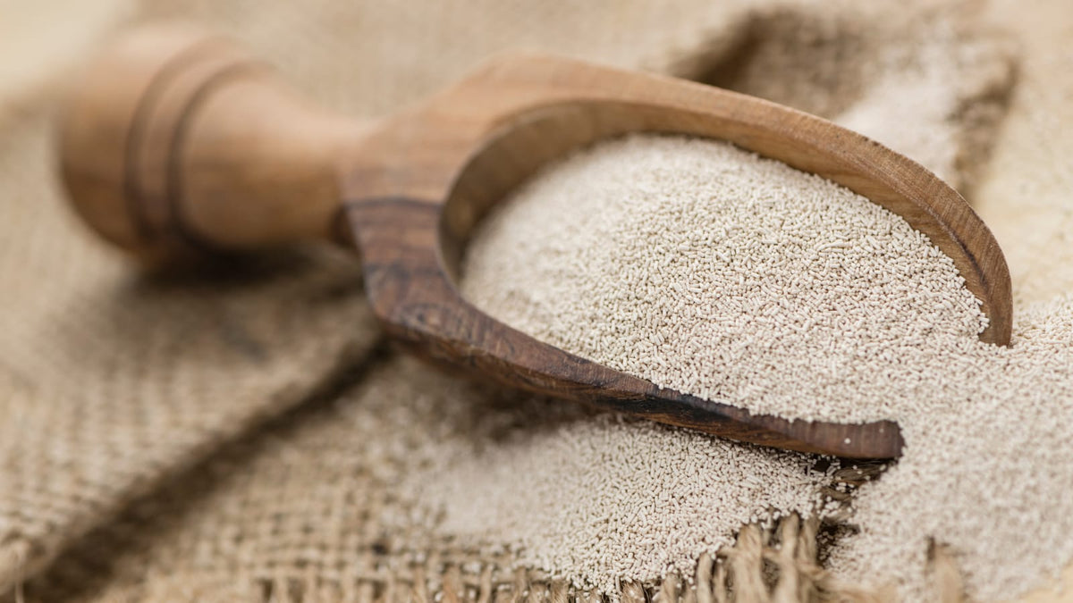 Image of wellmune powder
