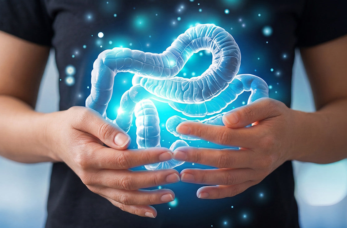 image of intestines