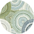 A circular close-up of a repeating abstract pattern with concentric oval and circular motifs in soft sage green, muted blue-gray, and off-white.