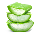 Three stacked slices of fresh green aloe vera showing the translucent gel inside, isolated on a white background.