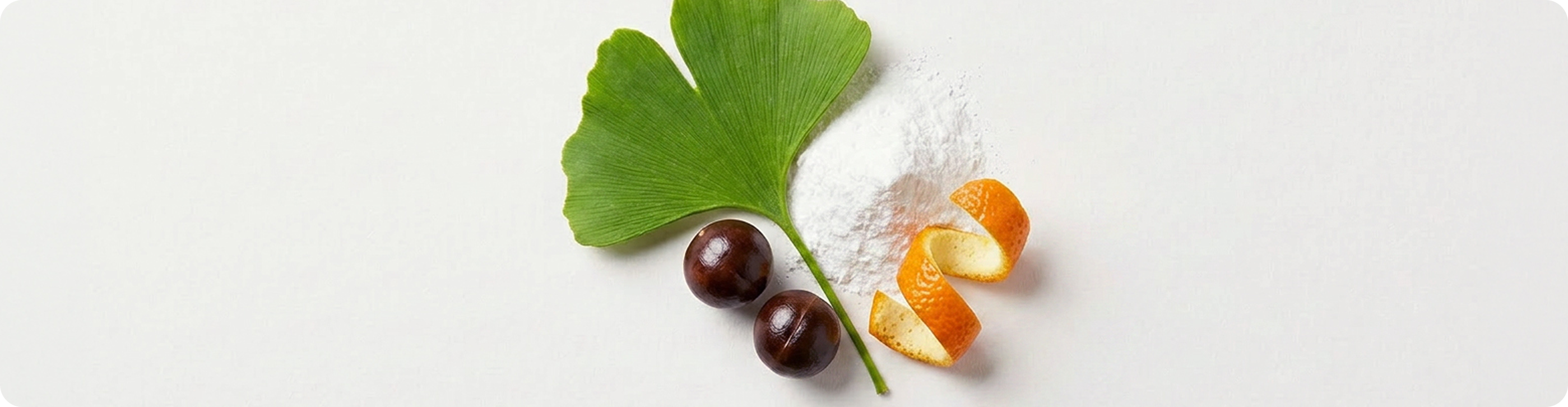 A botanical ingredient arrangement on a clean white background, featuring a green ginkgo leaf, two dark brown ginkgo berries, a small spiral of orange peel, and a mound of white powder.