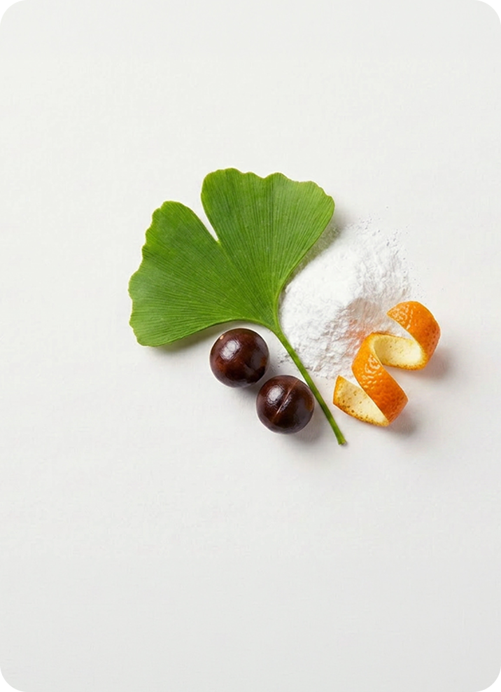 A styled flat-lay of a green ginkgo leaf, two dark brown ginkgo berries, a small pile of white powder, and two curled orange peel strips on a clean white background.