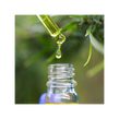 image of CBD (cannabidiol)