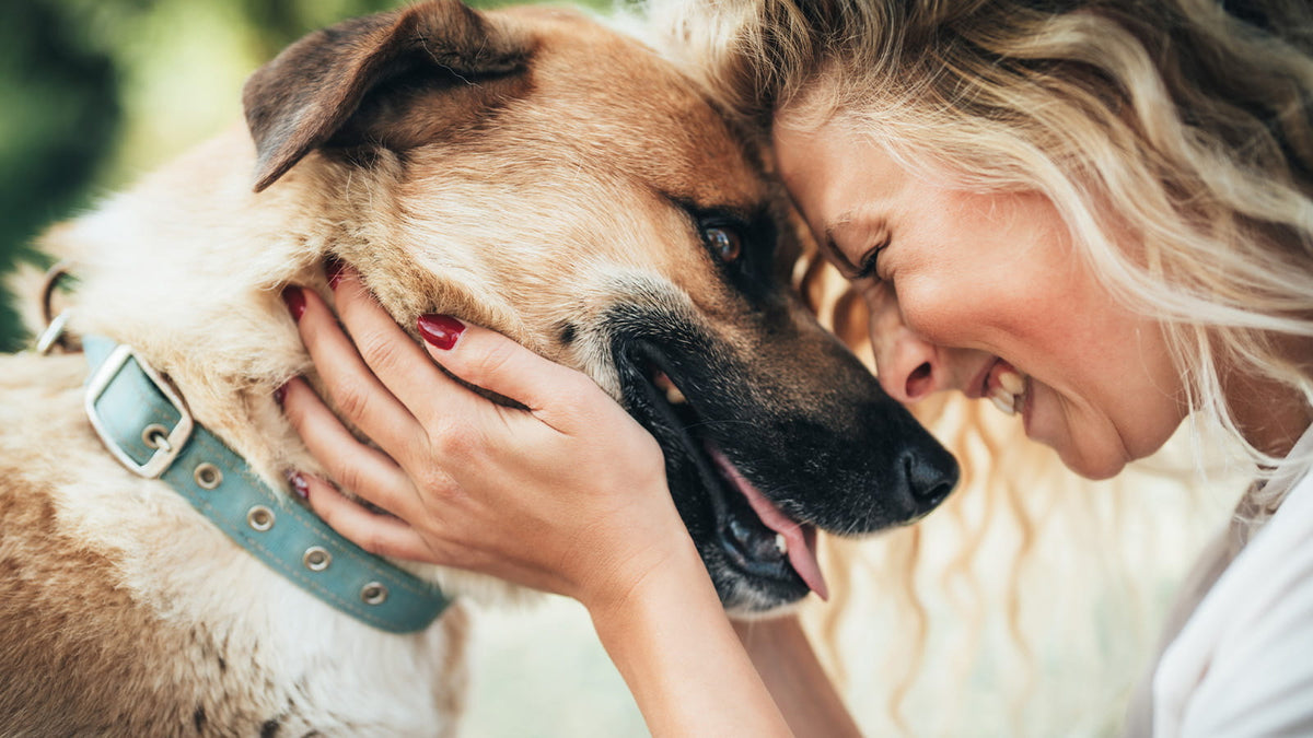 image of a person with their dog