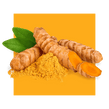 image of curcumin root