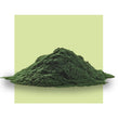 image of chlorella