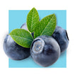 image of blueberries against a blue background
