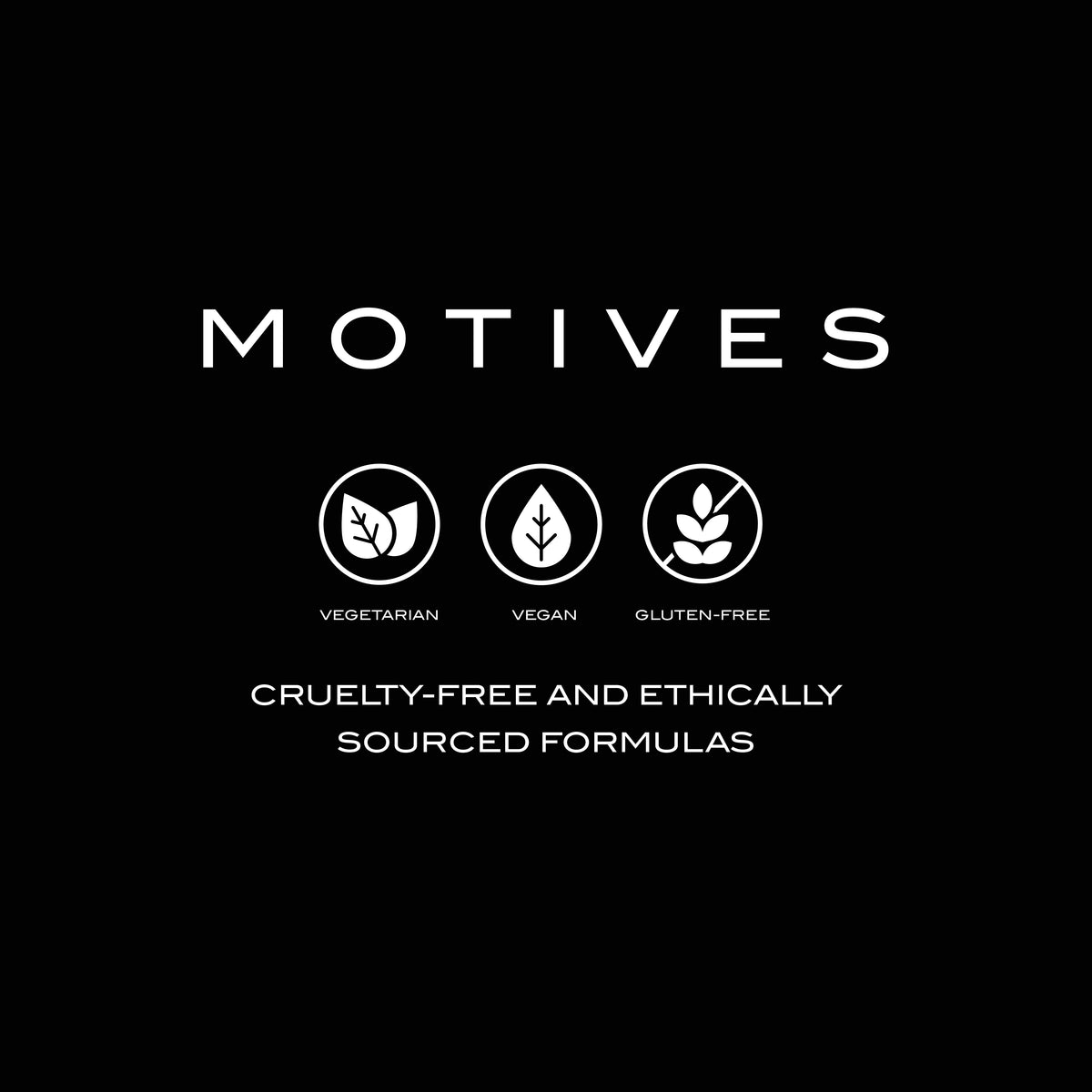 41MVITE_New_Alt10 - media