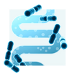 image of bacteria