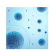 image of magnified cells