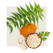 image of horseradish and curry powder