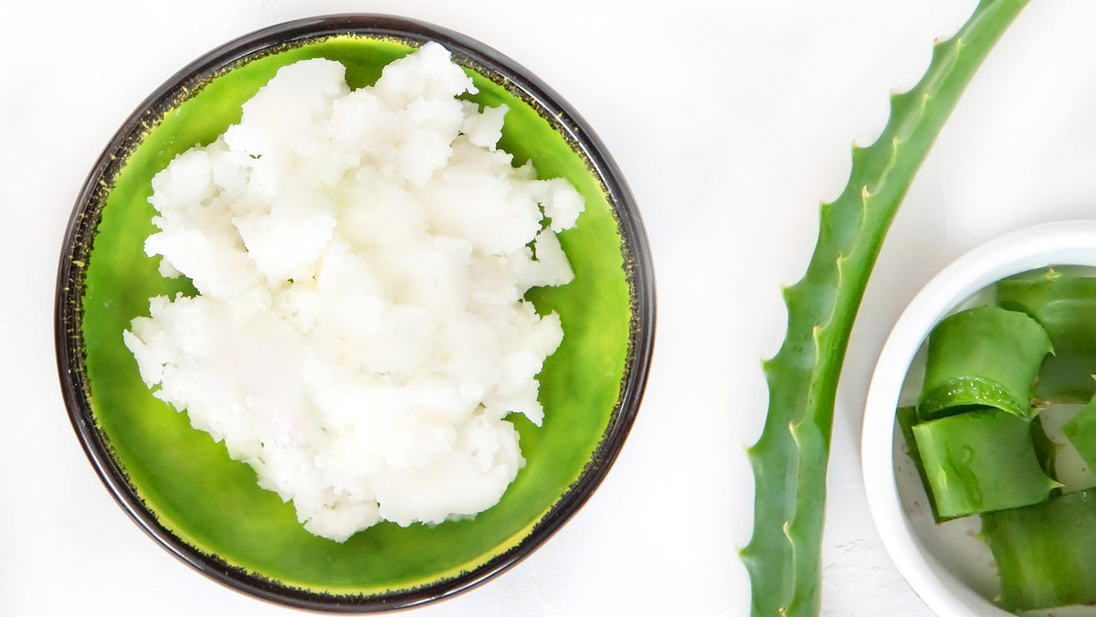image of aloe vera