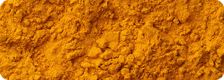 A close-up texture shot of bright orange-yellow ground turmeric powder filling the entire frame.